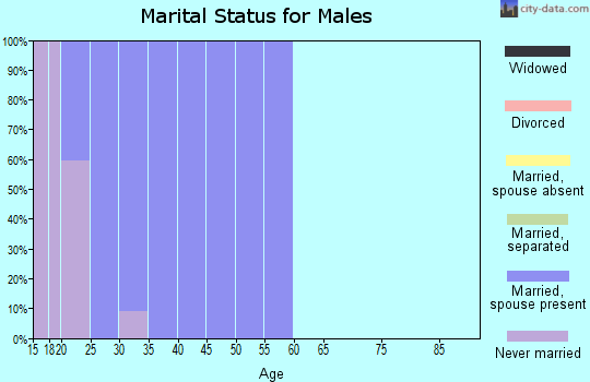 Zip code 23459 marital status for males