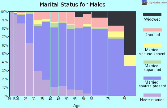 Zip code 23464 marital status for males