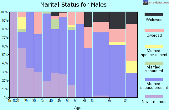 Zip code 23487 marital status for males