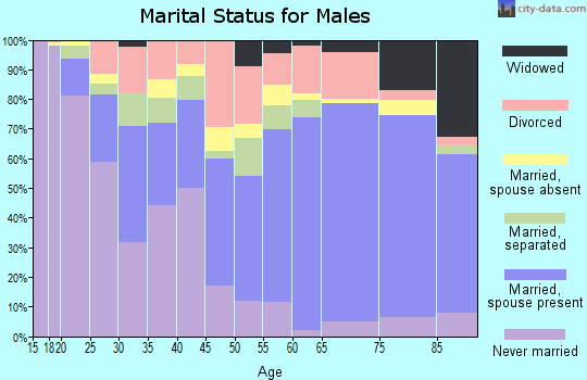 Zip code 23502 marital status for males