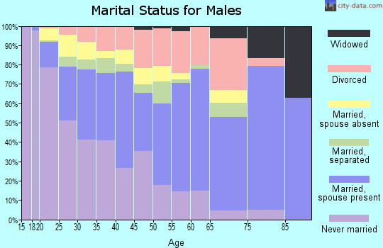 Zip code 23503 marital status for males