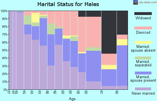 Zip code 23504 marital status for males