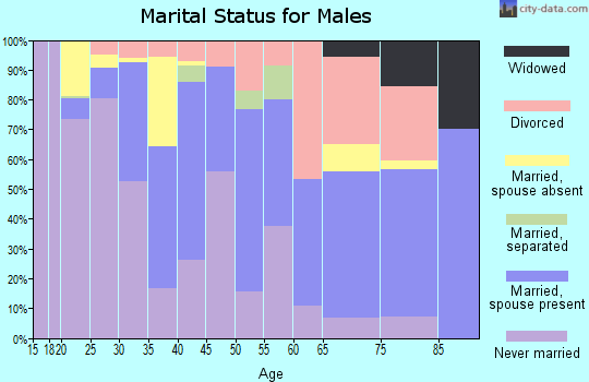Zip code 23507 marital status for males