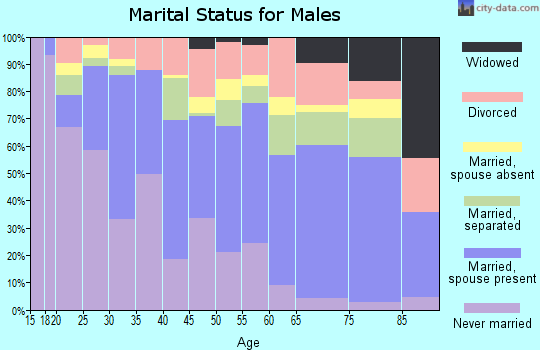 Zip code 23509 marital status for males