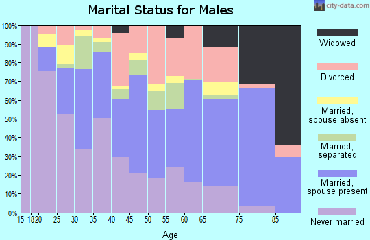 Zip code 23513 marital status for males