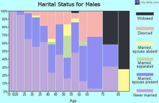 Zip code 23517 marital status for males