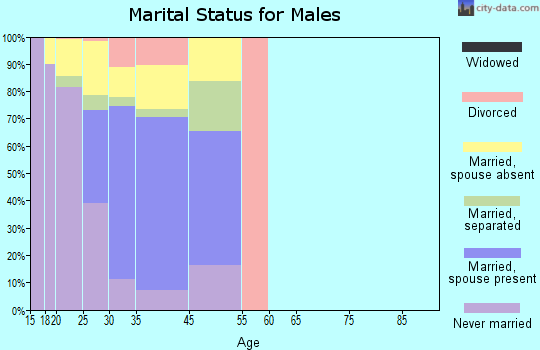 Zip code 23521 marital status for males