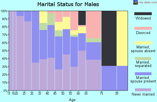Zip code 23523 marital status for males