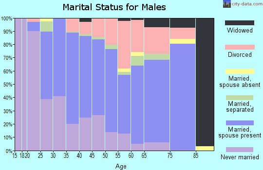 Zip code 23601 marital status for males