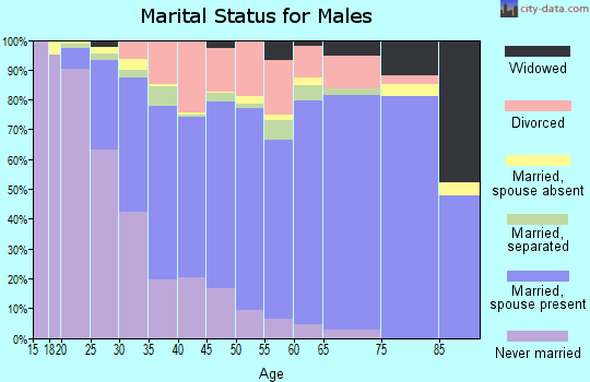 Zip code 23602 marital status for males