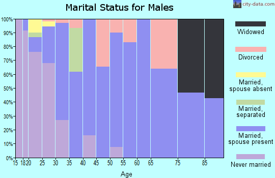 Zip code 23603 marital status for males