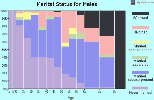 Zip code 23605 marital status for males