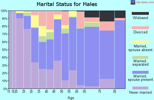 Zip code 23606 marital status for males