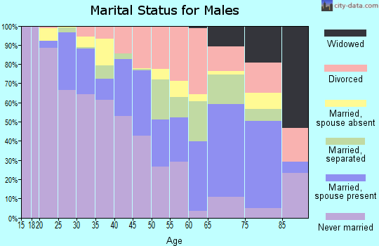 Zip code 23607 marital status for males