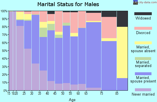Zip code 23608 marital status for males
