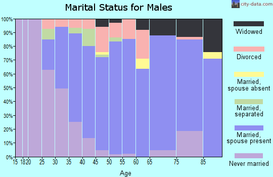 Zip code 23662 marital status for males