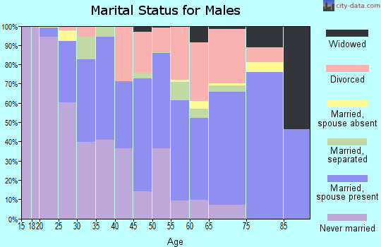 Zip code 23663 marital status for males