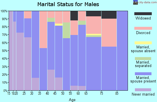 Zip code 23664 marital status for males
