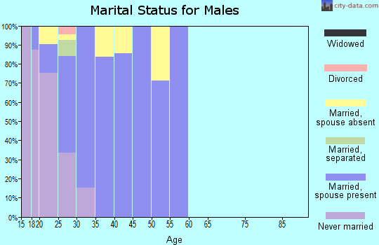 Zip code 23665 marital status for males