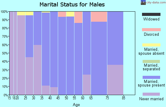 Zip code 23690 marital status for males