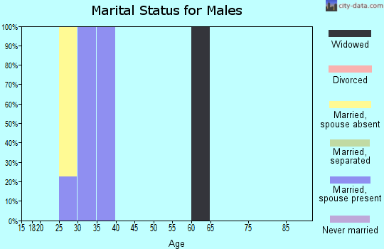 Zip code 23691 marital status for males