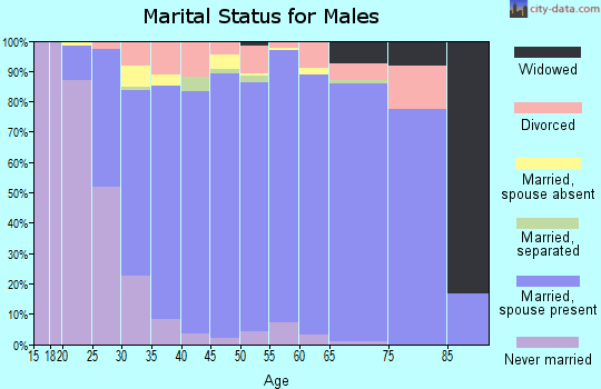 Zip code 23693 marital status for males
