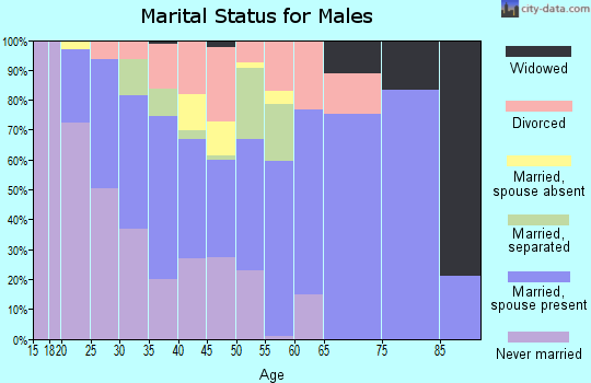 Zip code 23702 marital status for males