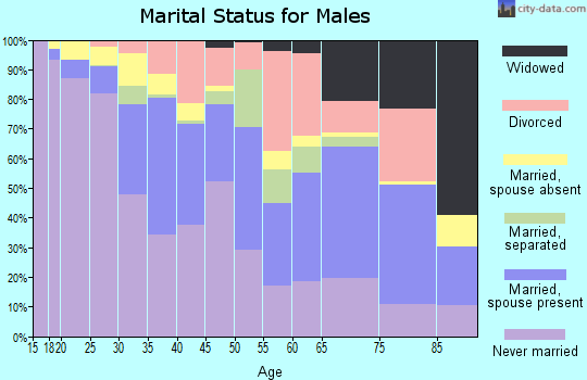Zip code 23704 marital status for males