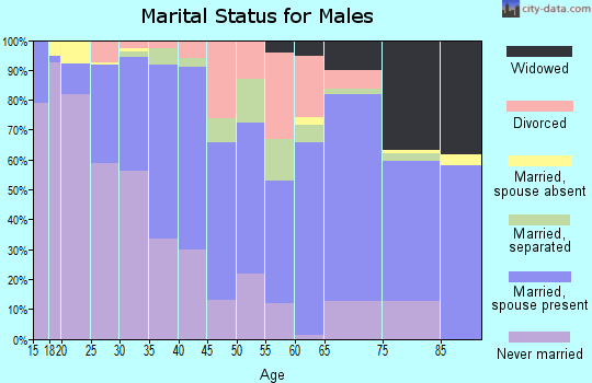 Zip code 23707 marital status for males
