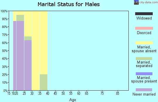 Zip code 23708 marital status for males
