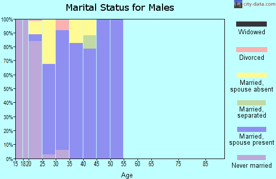 Zip code 23801 marital status for males