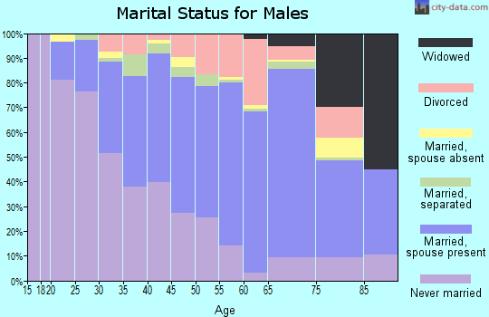 Zip code 23805 marital status for males