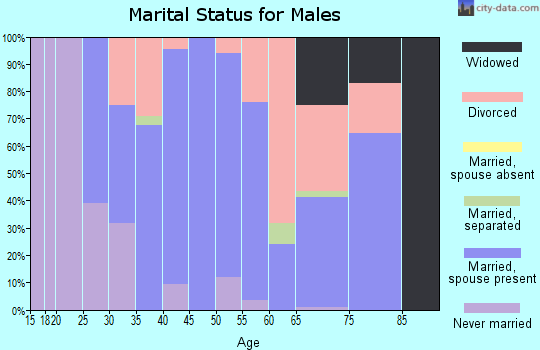 Zip code 23821 marital status for males
