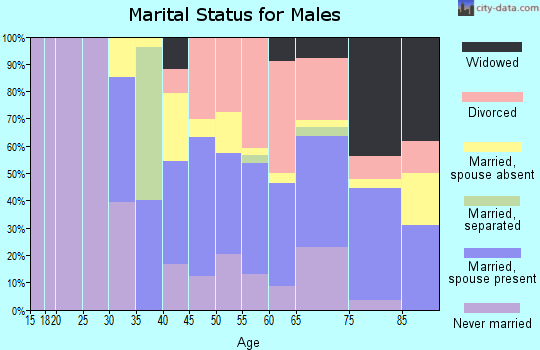 Zip code 23824 marital status for males