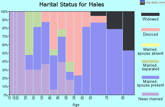 Zip code 23827 marital status for males