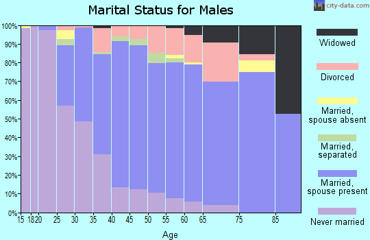 Zip code 23831 marital status for males