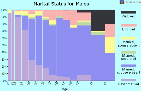 Zip code 23832 marital status for males