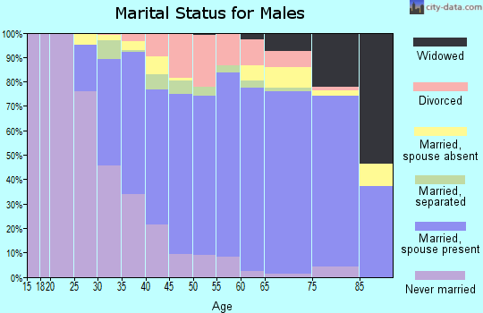 Zip code 23834 marital status for males