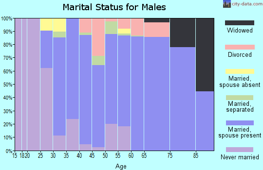Zip code 23836 marital status for males
