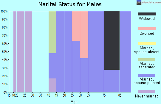 Zip code 23846 marital status for males