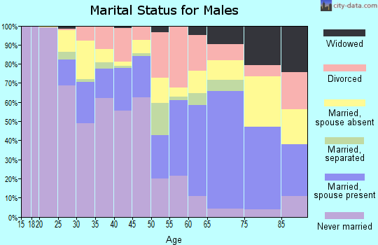 Zip code 23847 marital status for males