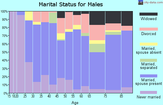 Zip code 23851 marital status for males