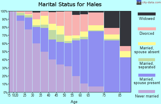 Zip code 23860 marital status for males