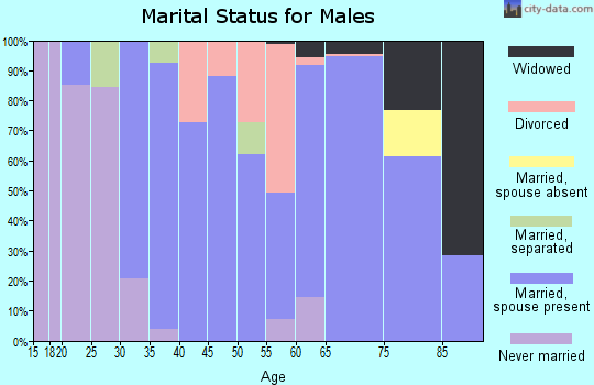Zip code 23866 marital status for males