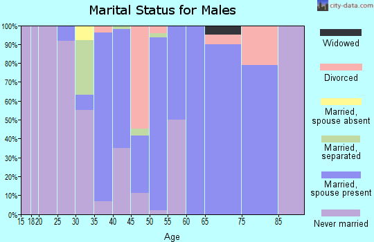 Zip code 23867 marital status for males
