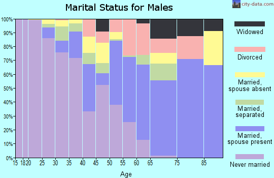 Zip code 23868 marital status for males