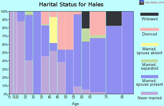 Zip code 23872 marital status for males