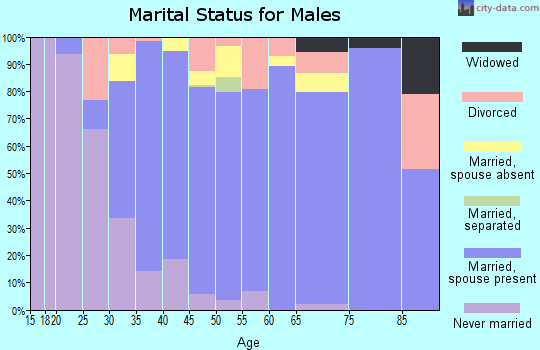 Zip code 23875 marital status for males