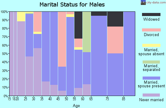 Zip code 23882 marital status for males
