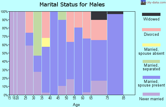 Zip code 23883 marital status for males